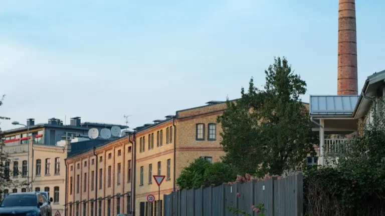 Rīgas ielu seguma iepirkums: kā gatavoties rudenim
