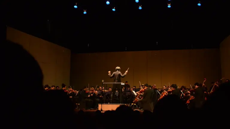SHIPSEA un Sinfonietta Rīga Cēsīs 22. augustā
