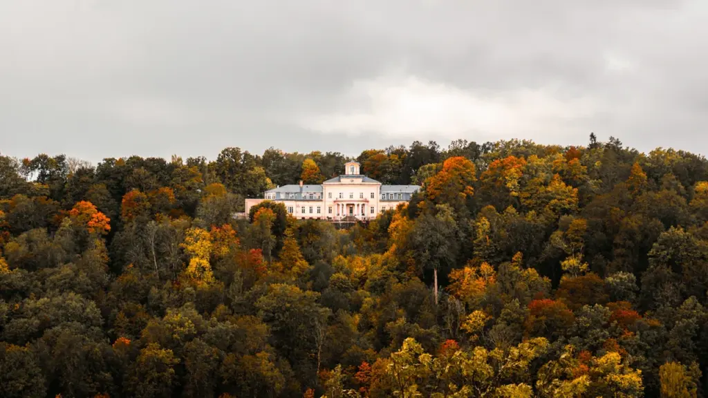 Sigulda, Cēsis vai Jūrmala: izbrauciens 15.–16. augustā