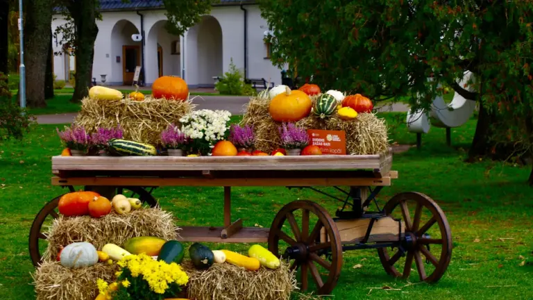 Miķeļi 29. septembrī: ražas noslēgums un rudens tradīcijas