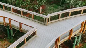 Koka laipa mežā, kas sadalās divos dažādos virzienos skatoties no augšas.