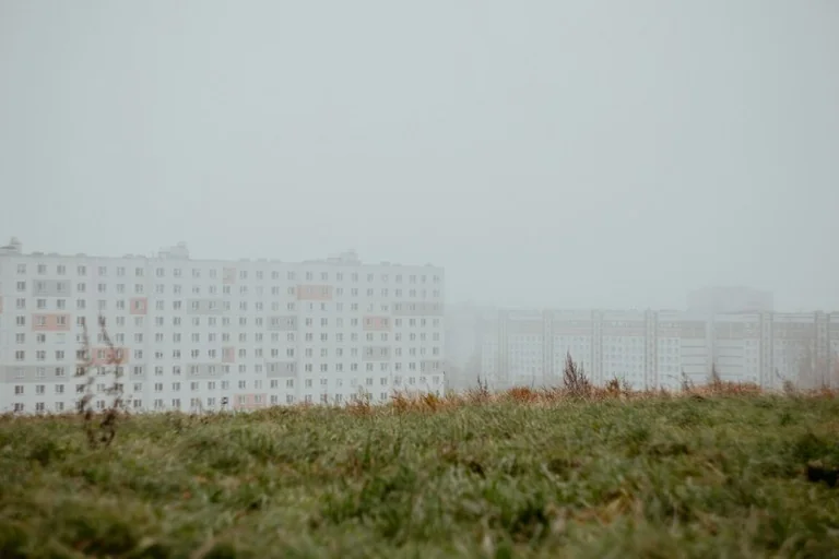 Rīgas pirmais rudens sals: vai gaisa temperatūra oktobrī noslīdēs zem nulles?