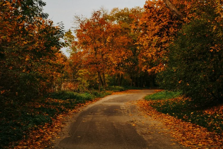 11. oktobris Latvijas vēsturē: rudens ikdiena arhīvu avotos